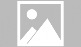 动漫人,动漫世界里的奇幻冒险之旅